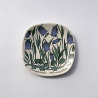 ARABIA（アラビア）／Botanica（ボタニカ）／ Campanula Rotundifolia（イトシャジン）