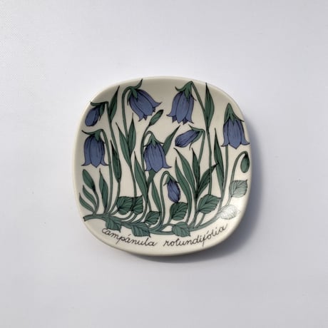 ARABIA（アラビア）／Botanica（ボタニカ）／ Campanula Rotundifolia（イトシャジン）