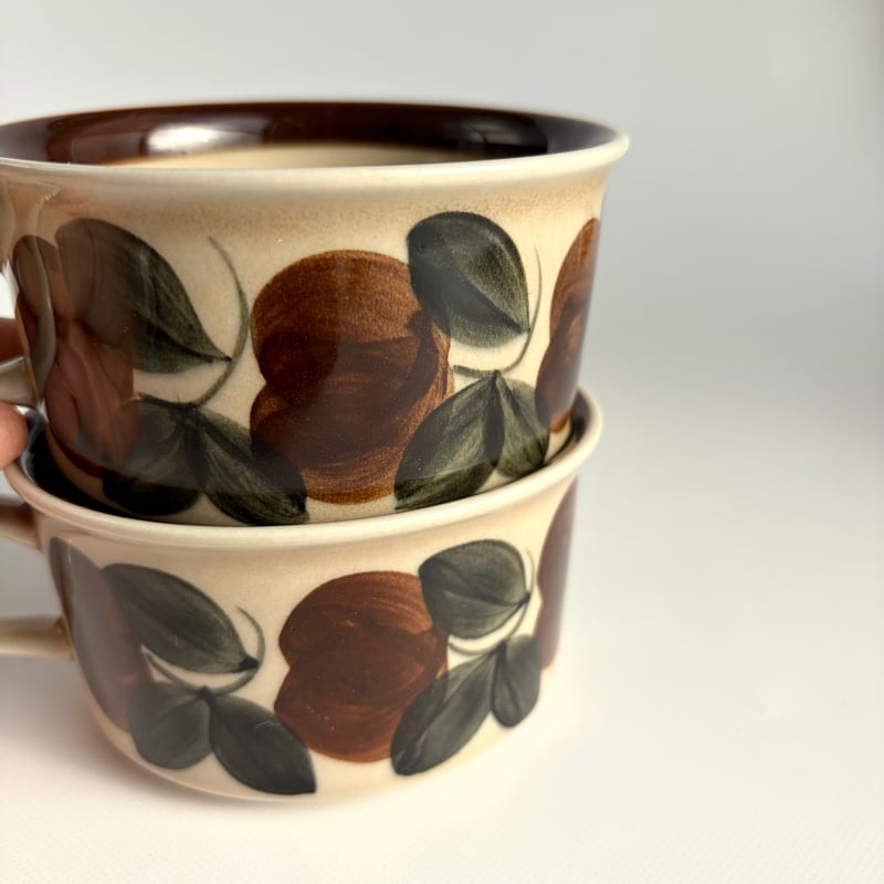 ARABIA（アラビア）｜Ruija（ルイヤ）｜ティーカップ＆ソーサー | HYGGE