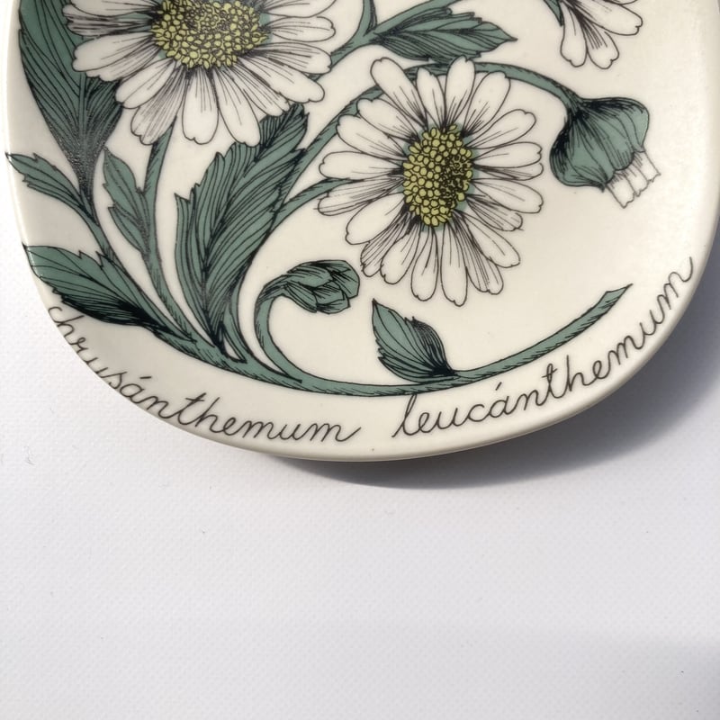 ARABIA（アラビア）／Botanica（ボタニカ）／chrysanthemum leuca
