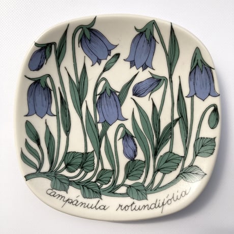 ARABIA（アラビア）／Botanica（ボタニカ）／ Campanula Rotundifolia（イトシャジン）