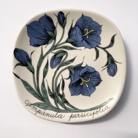 ARABIA（アラビア）／Botanica（ボタニカ）／campanula persicifolia（モモノハギキョウ）