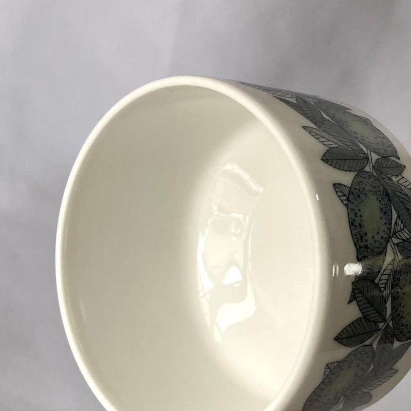 ARABIA（アラビア）／ Citrus（シトラス）／カップ＆ソーサー 01 | HYGGE