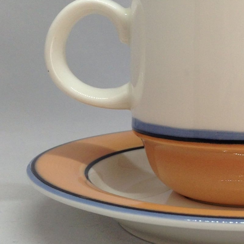 ARABIA（アラビア）／Arctica Aprikos （アプリコス）／カップ