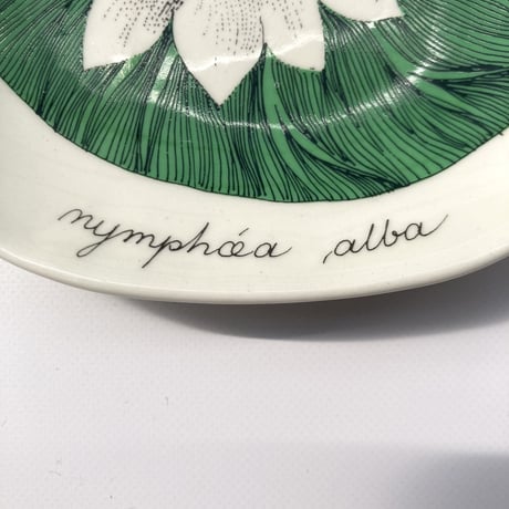 ARABIA（アラビア）／Botanica（ボタニカ）／nymphcea alba（セイヨウスイレン）