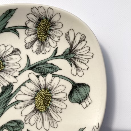 ARABIA（アラビア）／Botanica（ボタニカ）／chrysanthemum leucanthemum（フランス菊）