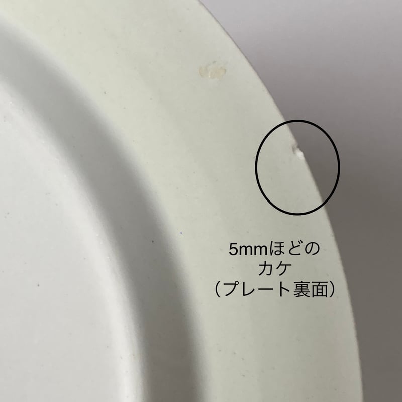 ARABIA（アラビア）／Aprikoosi（アプリクーシ） ／プレート23.5cm