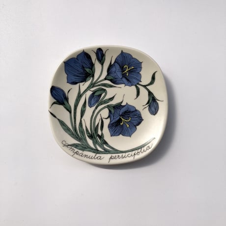 ARABIA（アラビア）／Botanica（ボタニカ）／campanula persicifolia（モモノハギキョウ）