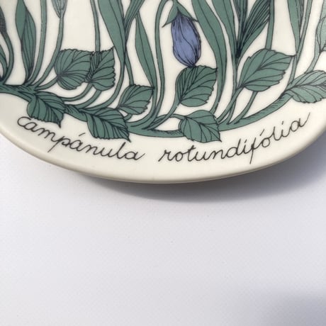 ARABIA（アラビア）／Botanica（ボタニカ）／ Campanula Rotundifolia（イトシャジン）