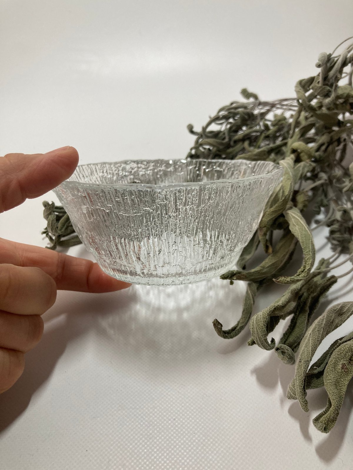 iittala（イッタラ）／Solaris（ソラリス）／Tapio Wirkkala