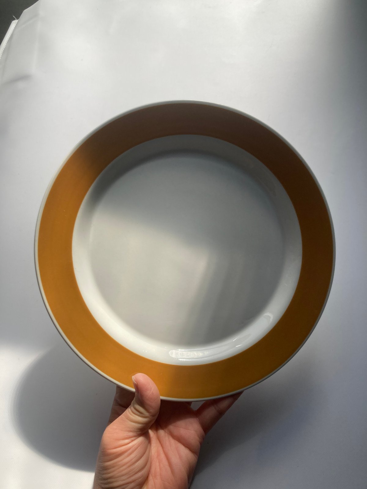 ARABIA（アラビア）／Aprikoosi（アプリクーシ） ／プレート23.5