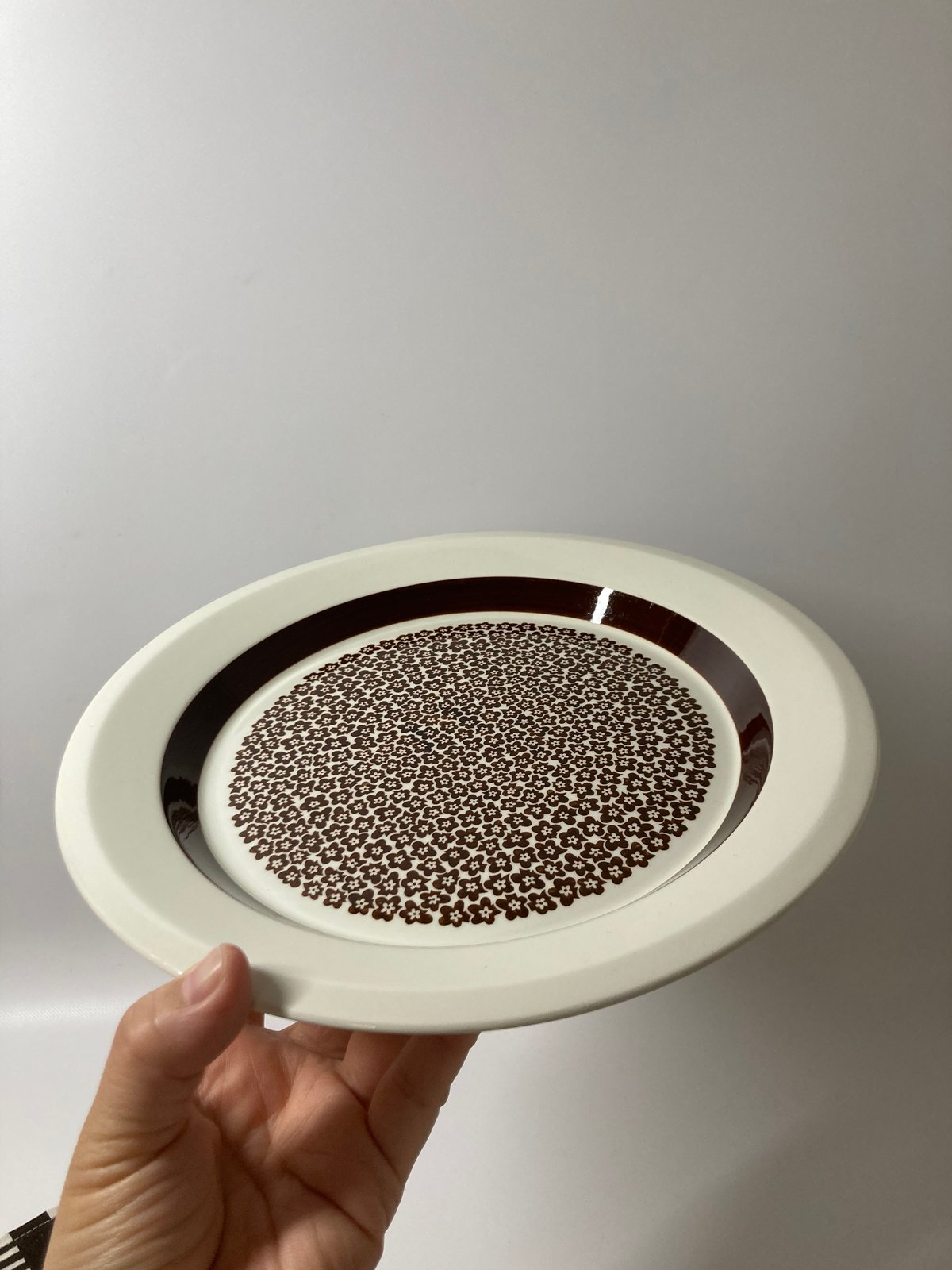 ARABIA（アラビア）／ Faenza（ファエンツァ）／プレート24.5cm | HYGGE