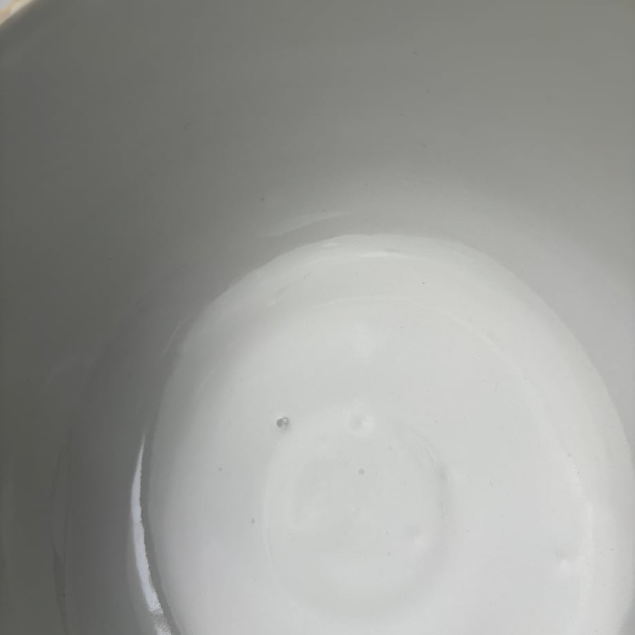 6a03d071b294530a42f96ec0