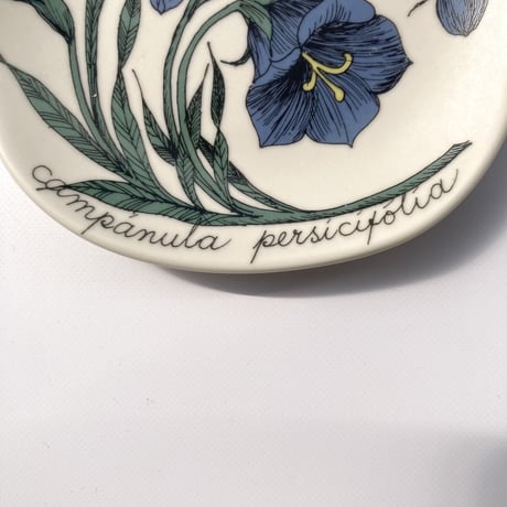 ARABIA（アラビア）／Botanica（ボタニカ）／campanula persicifolia（モモノハギキョウ）