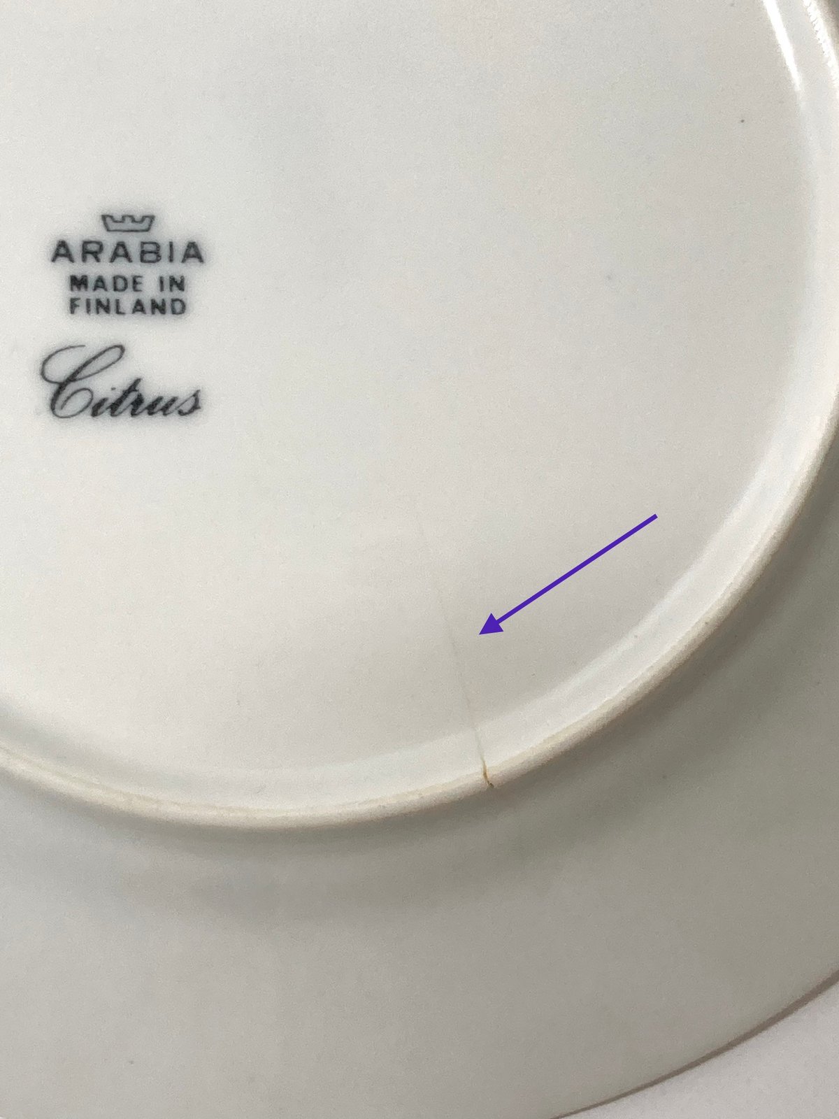 ARABIA（アラビア）／ Citrus（シトラス）／プレート17.3cm