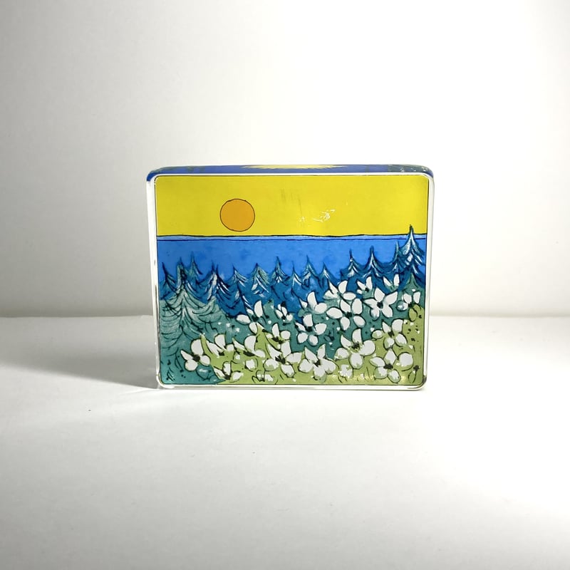 北欧の太陽と白い花のガラスカード(大)／ イッタラ　フィンランド iittala（イッタラ）／ガラスカード／Warmth of the Sun S | HYGGE