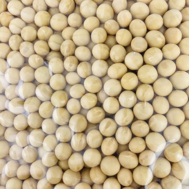 有機栽培大豆 1kg | Healthroad