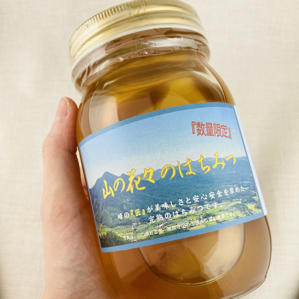 山の花々のはちみつ 600g | Healthroad