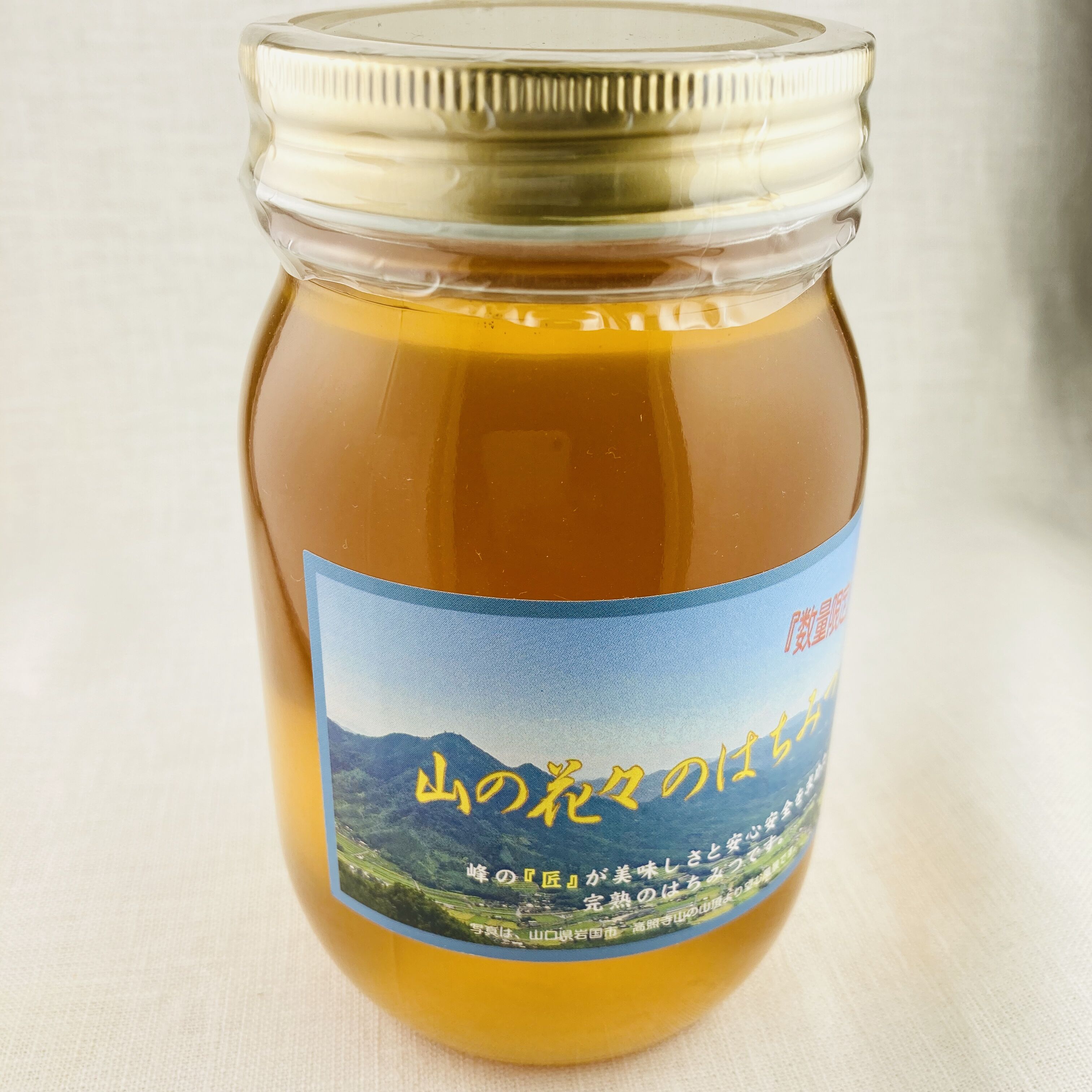 山の花々のはちみつ 600g | Healthroad