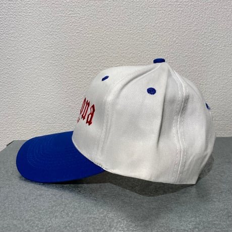 90's NCAA Arizona Wildcats snapback
