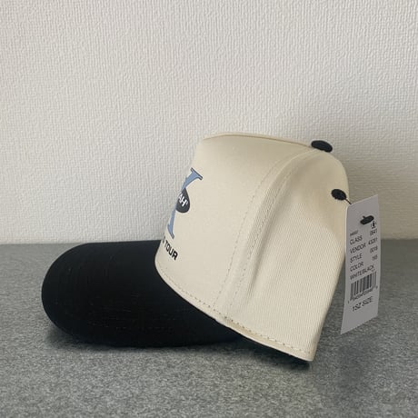 official Aaliyah 94-95 World Tour snapback