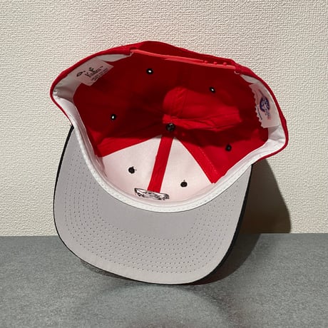 vintage MILB Lansin Lugnuts snapback