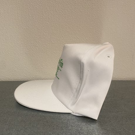 90's Seagrams Gin&Juice snapback