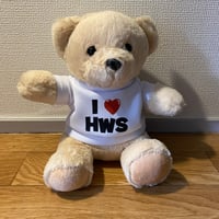 My Hamer's Teddy