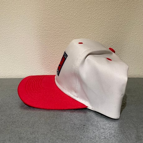 90's Washington D.C souvenir cap