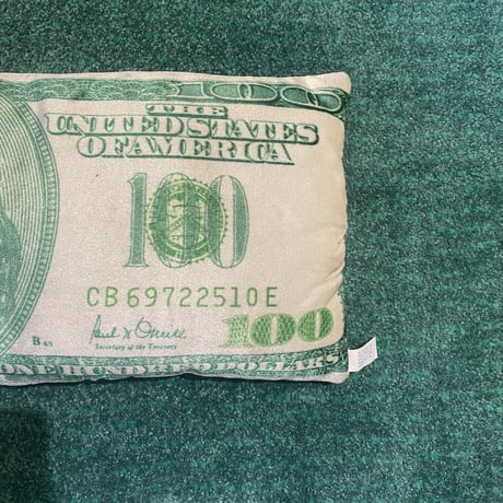 Vintage $100 Pillow