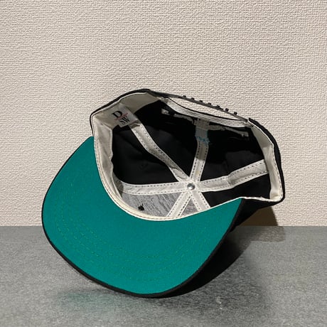 【KIDS】walt disney world orland indy200 snapback