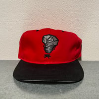 vintage MILB Lansin Lugnuts snapback