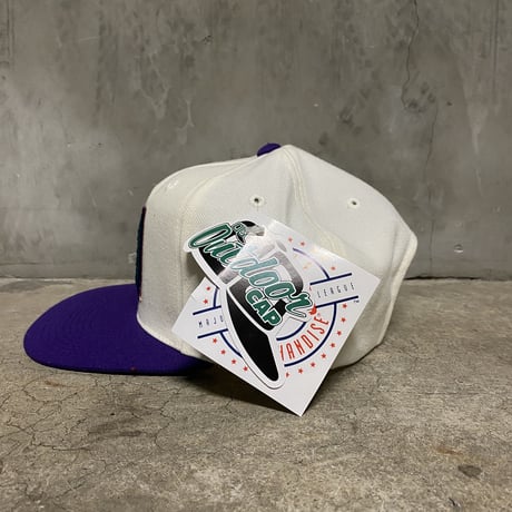 90's OC "Arizona Diamond Backs" hat