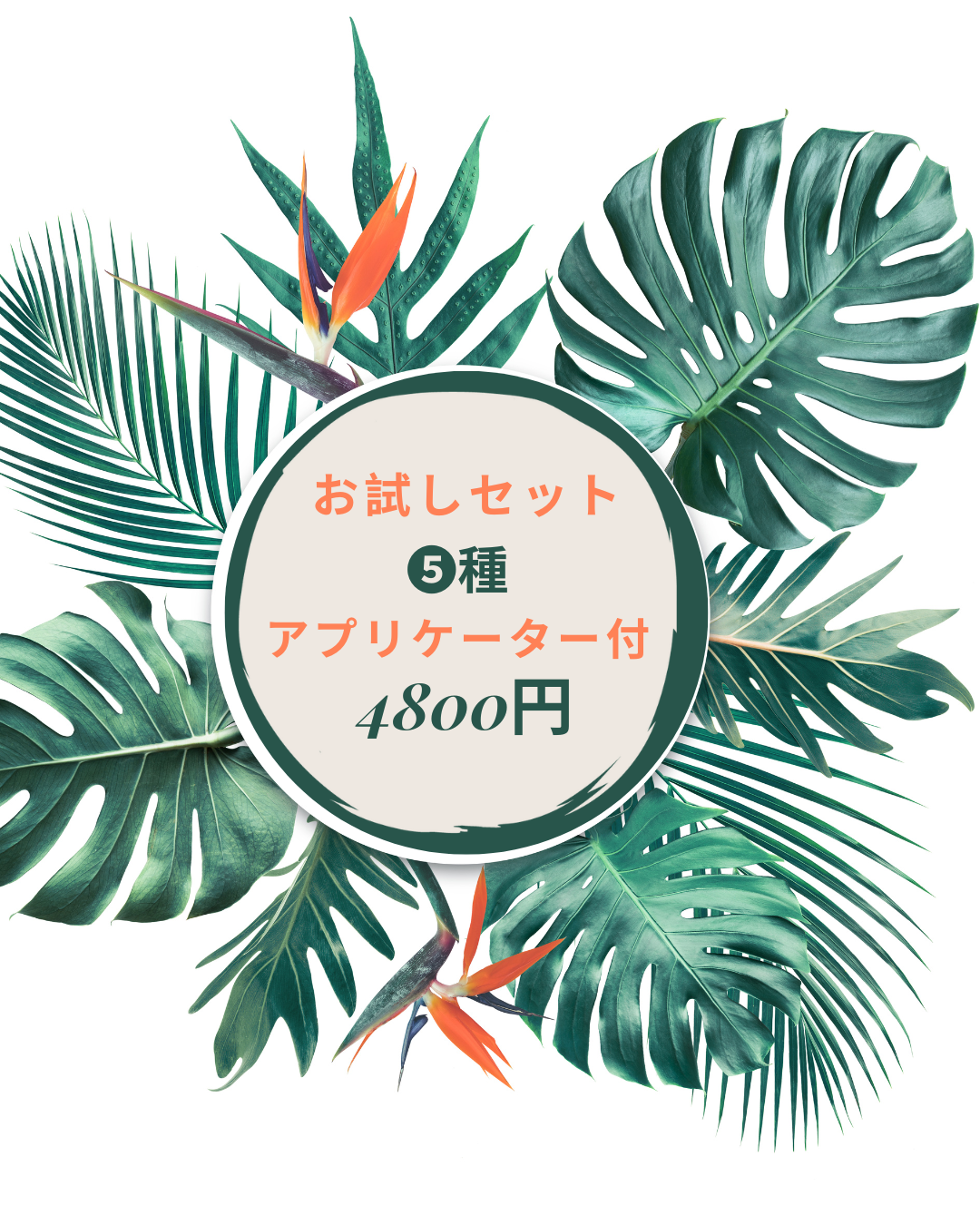 ハペ5種 Amazon.co.jp: Hape(ハペ): 新製品（2024年6月以降発売）