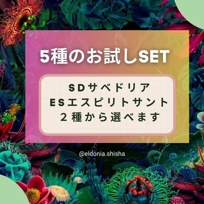 送料込【5種 or 10種 お試しハペセット】 | El Donia ”世界の