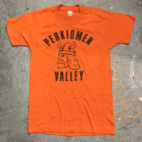 1980s PERKIOMEN VALLEY School Printed T-shirts Screen Stars Made in USA SIZE :  Medium