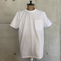 RAGTIME CALIFORNIA COTTON PKT T