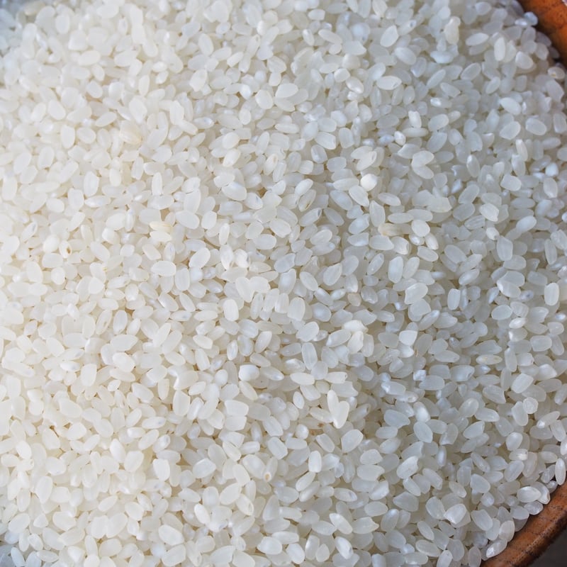 令和7年産 サノライス 10kg | サノライス