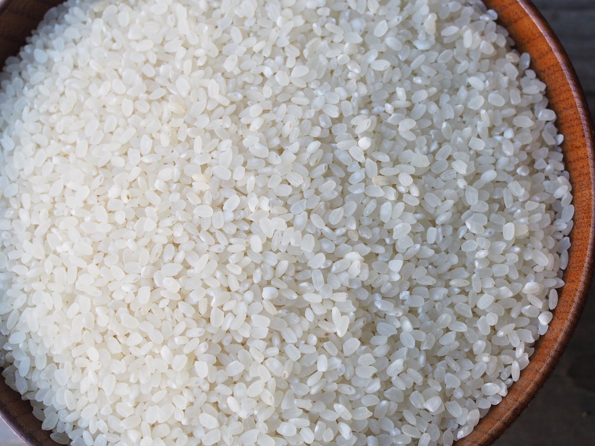 令和7年産 サノライス 10kg | サノライス