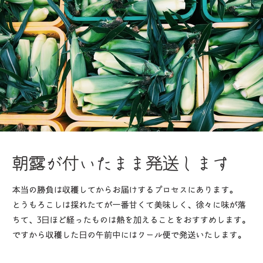 5ed9df2b55fa0346c646353d