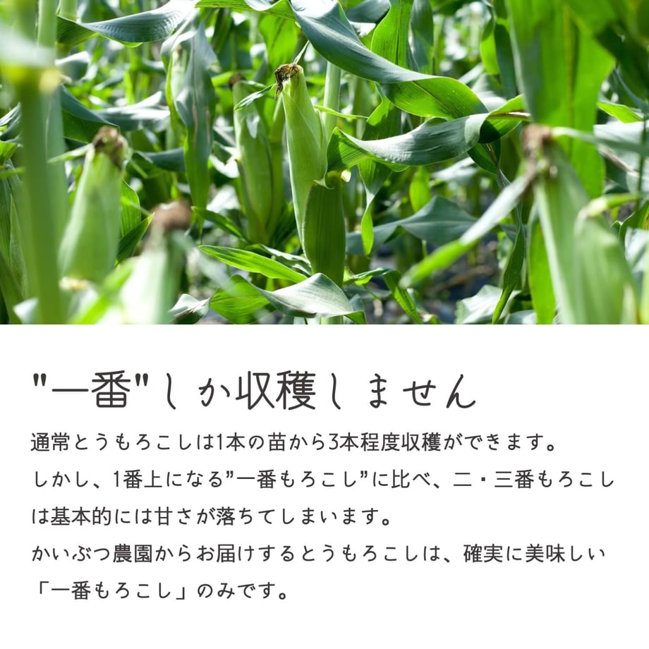 5ed9df2b55fa0346c646353d