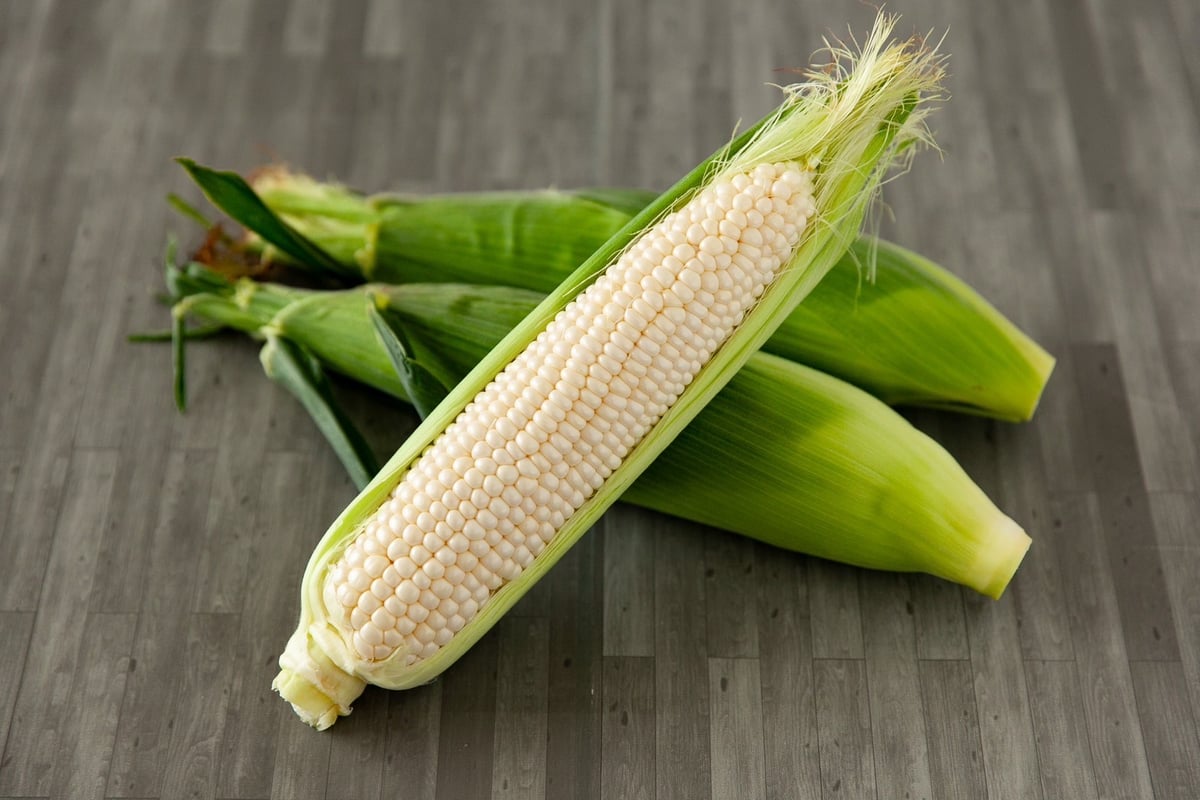 fit=scale-down,w=1200