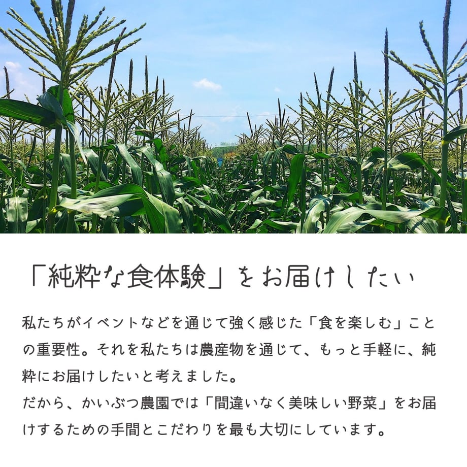 5ec71fda55fa0313d9db46ce