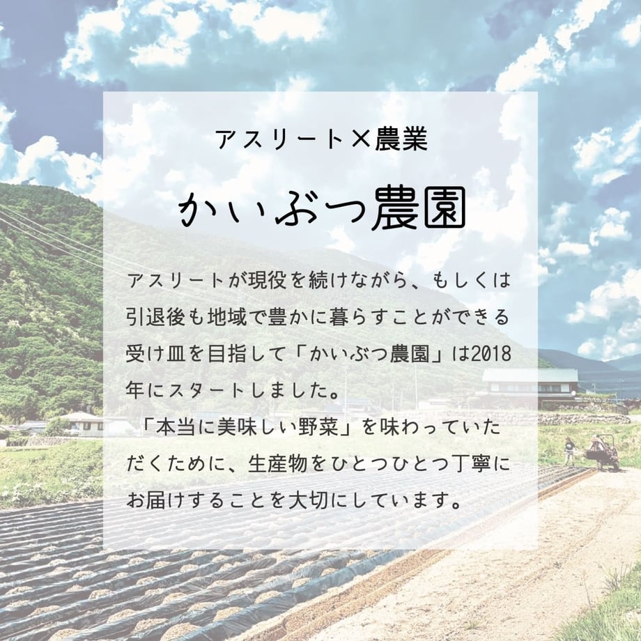 5ed9df2b55fa0346c646353d