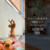 スコーンおまかせ9個セット【10月第2週発送】
