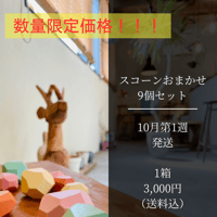 スコーンおまかせ9個セット・1箱【10月第1週発送】送料込特別価格！！！3,650円→3,000円！