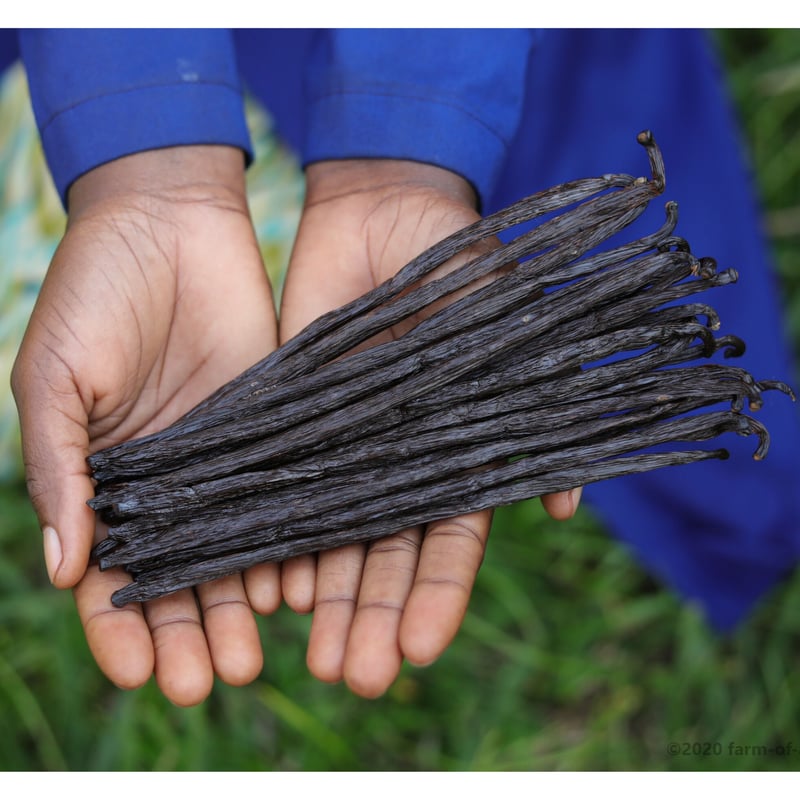 Farm of Africa バニラビーンズ（ウガンダ産）100g（24本～28本