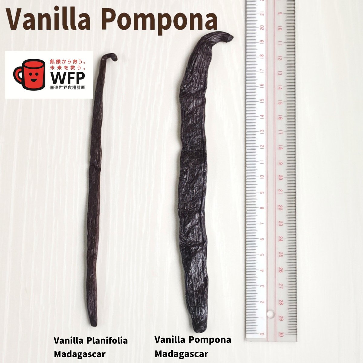 マダガスカル産A級バニラビーンズ A級 ブルボン ブラック バニラビーンズ 5本 マダガスカル産
