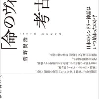 【アウトレット】菅野賢治『「命のヴィザ」の考古学』