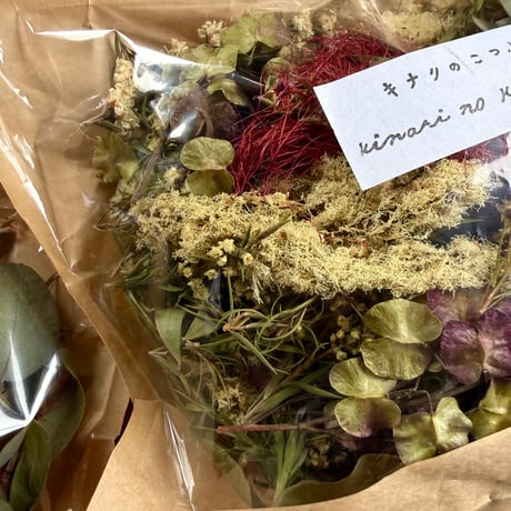 SOLD OUT！ありがとうございました！！キナリのこつぶ///フラワーロス！お花にありがとう！！
